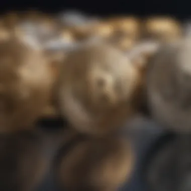 Inside a Cryptocurrency Telegram Group Cryptocurrency Telegram group interface showcasing discussions